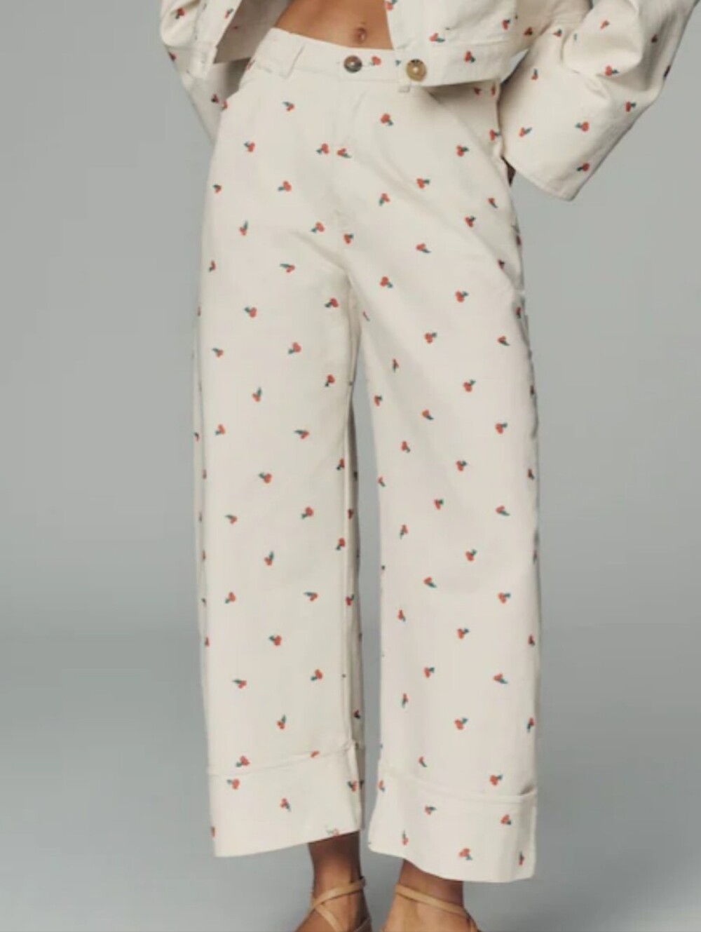 Anthropologie Pilcro Cherry Kayden Pants. *Size 27 * NWT *Gorgeous